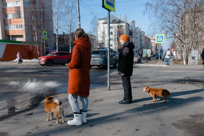 В Архангельской области ожидается холодный ветер днем