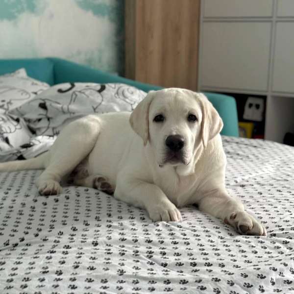 Источник: читатель НГС