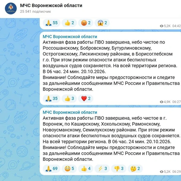 Источник: МЧС Воронежской области / max.ru