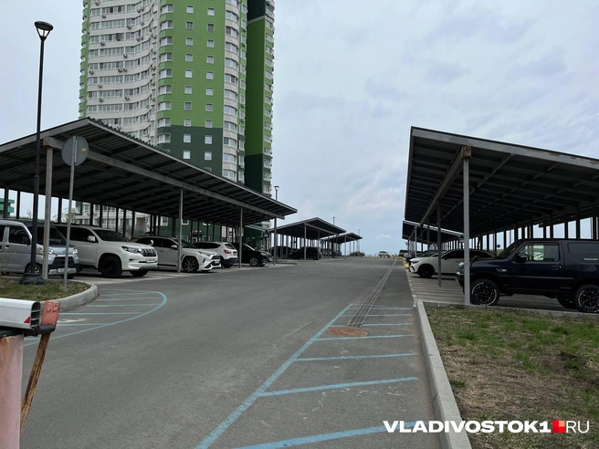 Источник: Алиса Князева / VLADIVOSTOK1.RU