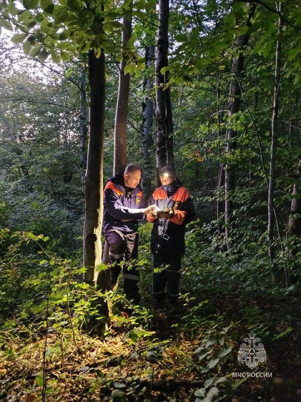 Пенсионерку благополучно вывели из леса и доставили в город на автомобиле МЧС | Источник: пресс-служба МЧС