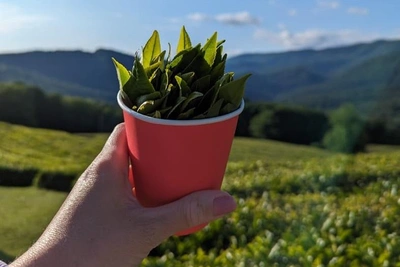 В Сочи представят летние экскурсии по этническим маршрутам