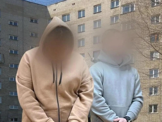 Фигурантами уголовного дела стали двое студентов. | Источник: Юрий Известный / 2ГИС, Управление судебного департамента Новосибирской области