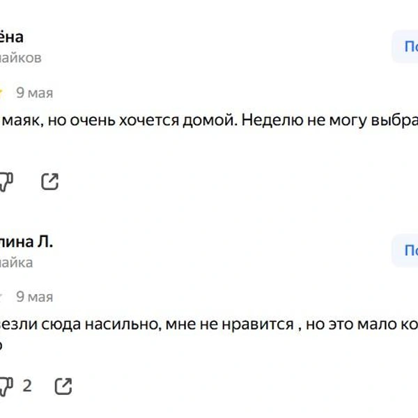Источник: «Яндекс»