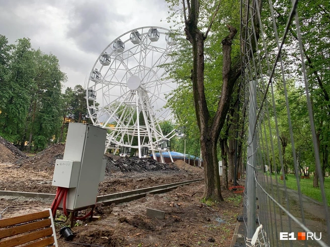 Источник: Дарья Манохина / E1.RU