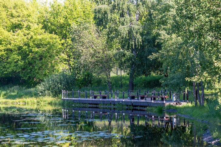 Живи не спеша: изучаем основы размеренной жизни Живи не спеша: изучаем основы размеренной жизни