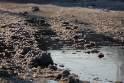 Алтайский край ждет потепление до +14°C и риск подтоплений