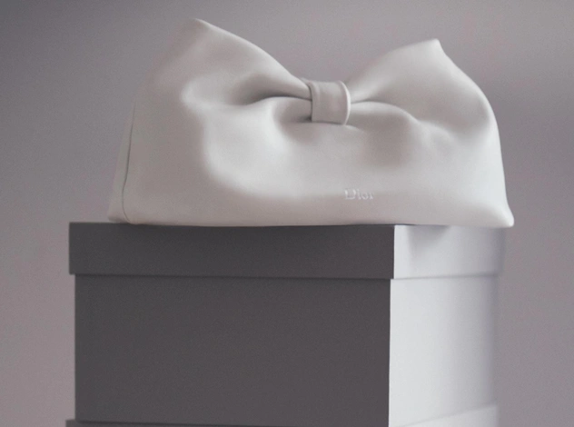 Сумка месяца: Dior Bow в форме огромного кожаного банта с «секретом»