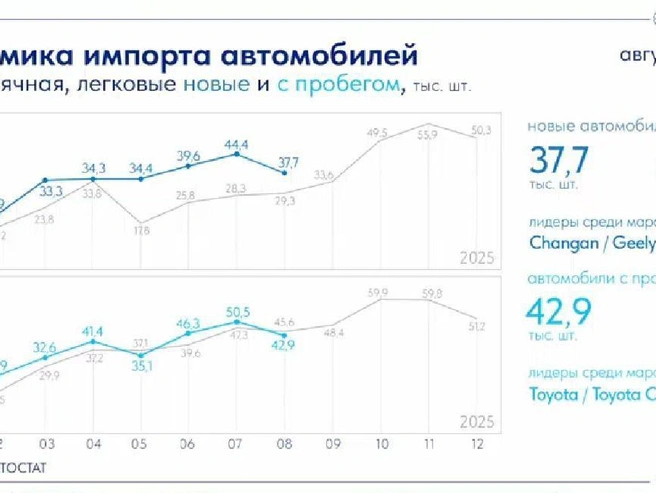Источник: Скриншот «АВТОСТАТ Оперативка»