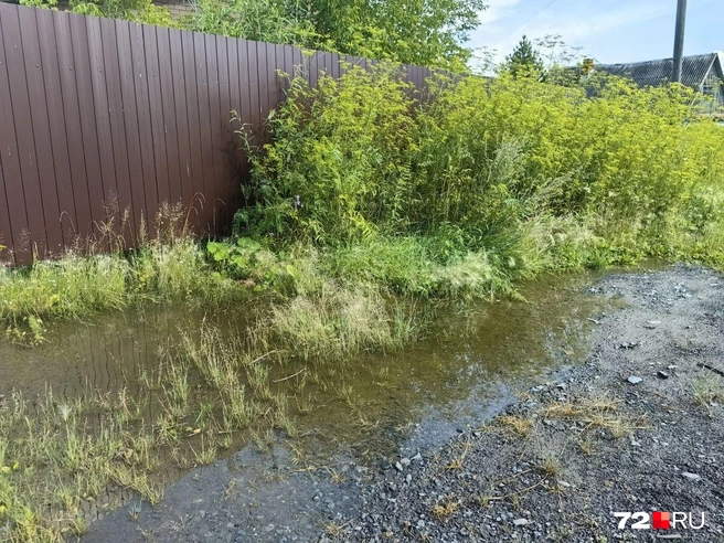 И, естественно, вода стоит забора  | Источник: Павел Красоткин / 72.RU 