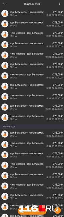 Источник: предоставлено собеседницей 116.RU