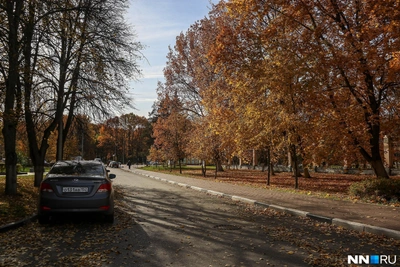 Синоптики: октябрь в Нижнем Новгороде будет дождливым и холодным