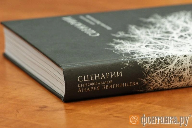 Источник: автор фото Михаил Огнев / «Фонтанка.ру»