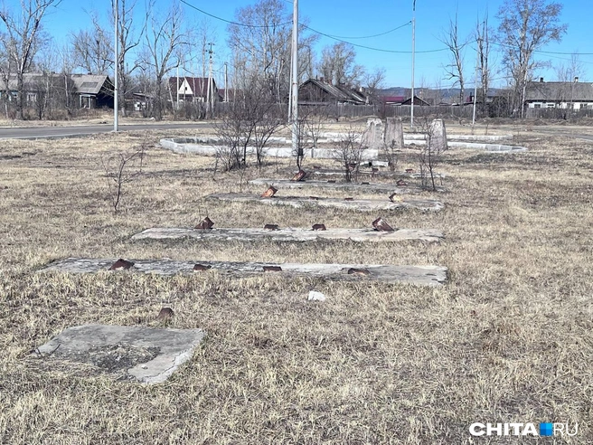 Источник: Александр Хамраев / CHITA.RU