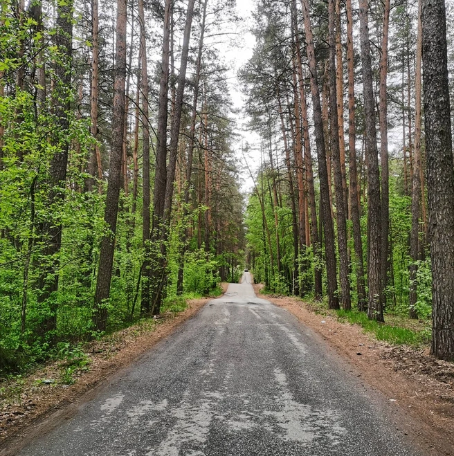 Нацпарк «Нижняя Кама» | Источник: yandex.ru/maps