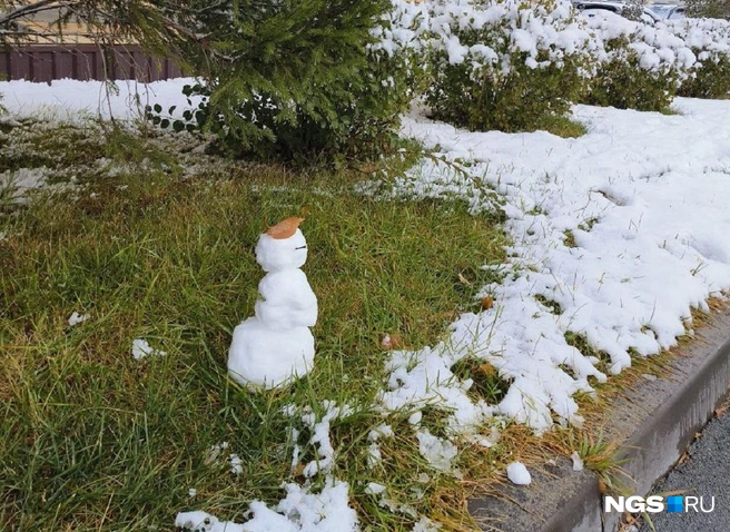 Источник: читатель НГС