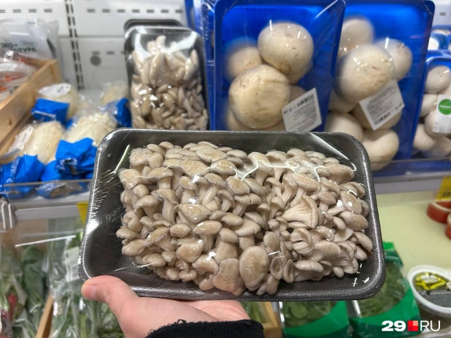 Источник: Кристина Полевая / 29.RU