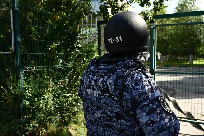Источник: pravmin.gov74.ru