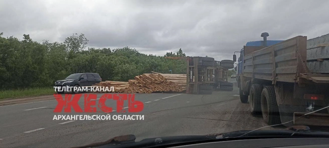 Источник: Жесть Архангельской области / T.me