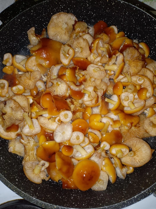 Грибы Ярославской области / Vk.com | Источник: А это Елена Лебедева поделилась процессом приготовления свежих грибов