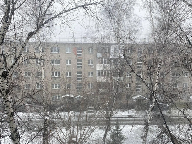 Снег в Новосибирске | Источник: читатели НГС