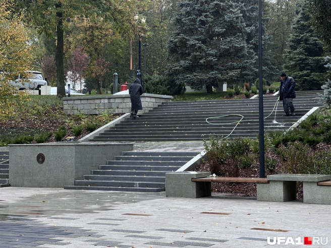 Листвы нападало немало | Источник: Андрей Бирюков / UFA1.RU