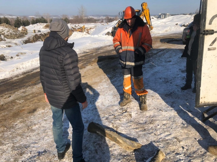 В центре Кемерова обнаружены кости мамонта