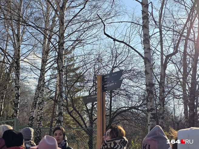 Указатели | Источник: Семен Коротов-Майбах / 164.RU