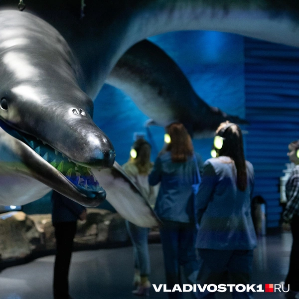 Источник: Елена Буйвол / VLADIVOSTOK1.RU