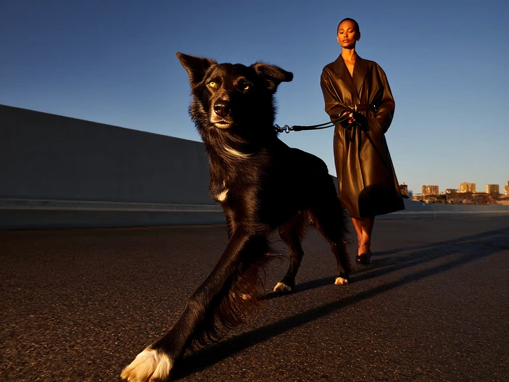 почему собака, почему собаки не любят детей, почему собаки не любят пьяных, почему собака лает, почему собака лает на человека | Источник: theDay/higgsfield