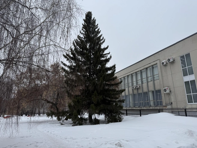 Источник: Юлия Король