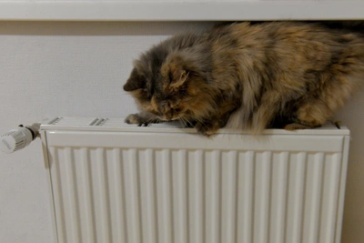 Rostov Freezes, Novoshakhtinsk Without Water: Don Region Daily