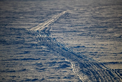 Прогноз погоды в Алтайском крае на последнюю неделю зимы