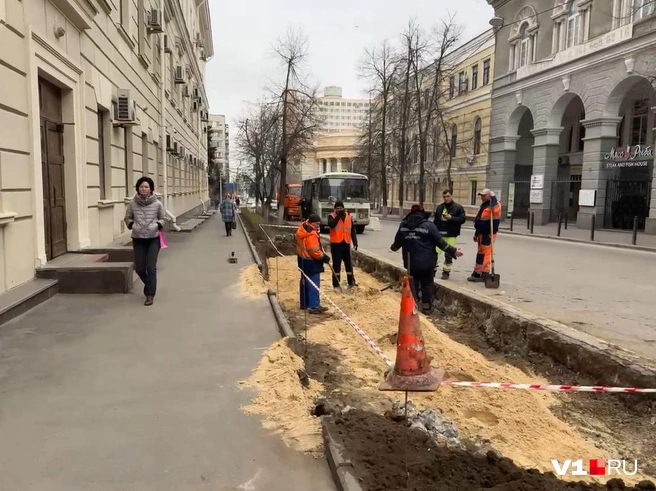 На месте деревьев и зеленой зоны решили сделать бесплатную парковку для чиновников и депутатов  | Источник: Сергей Островский