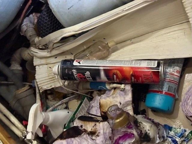 Источник: МЧС России по Алтайскому краю