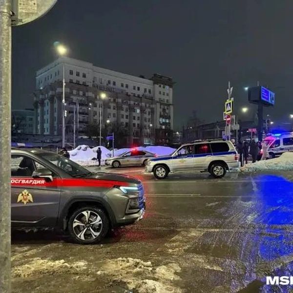 Источник: Алина Мельникова / MSK1.RU