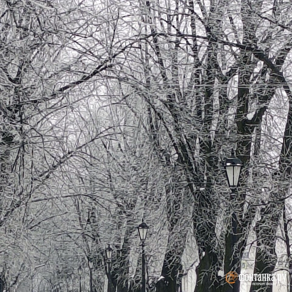 Источник: Алина Циопа / «Фонтанка.ру»