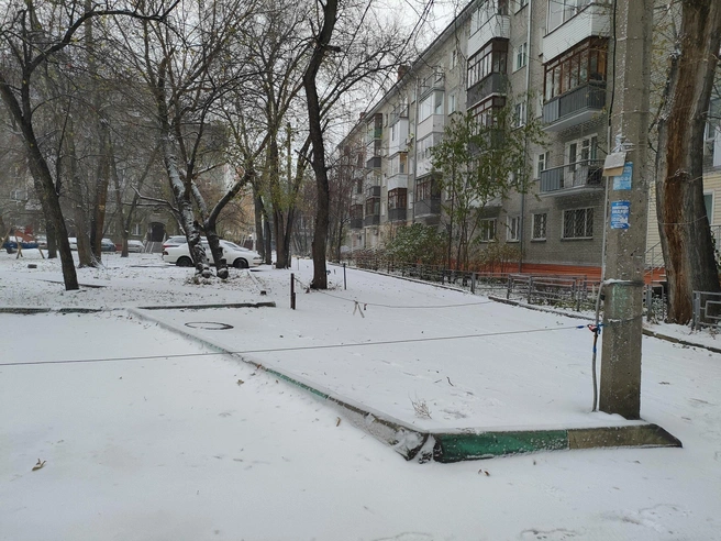 Деревья во дворах тоже припорошило октябрьским снегом | Источник: читатель НГС