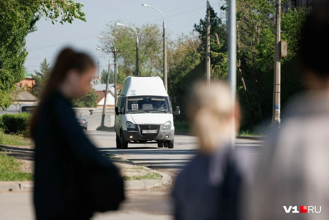 А вот некоторые маршрутки приходится очень долго ждать | Источник: Алексей Волхонский / V1.RU