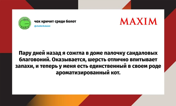 Самые смешные шутки понедельника и «лиминальная страна» | Источник: X (Twitter)