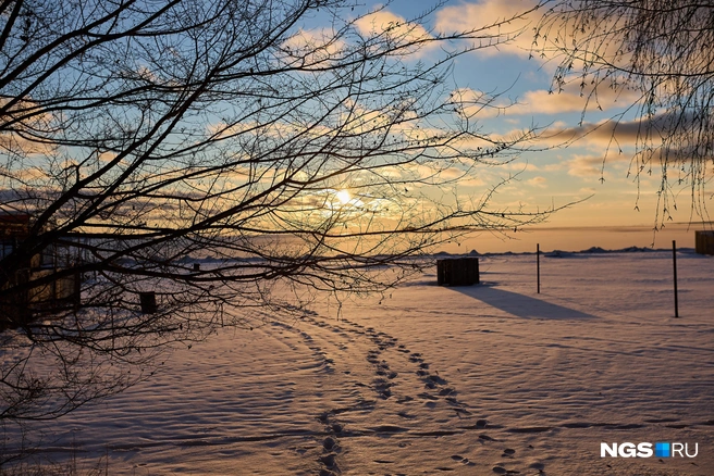 Источник: Александр Ощепков / NGS.RU