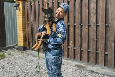 Кинолог из Нижнего Тагила умерла после года без диагноза
