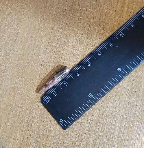 Источник: Защитники Отечества | Ленинградская область