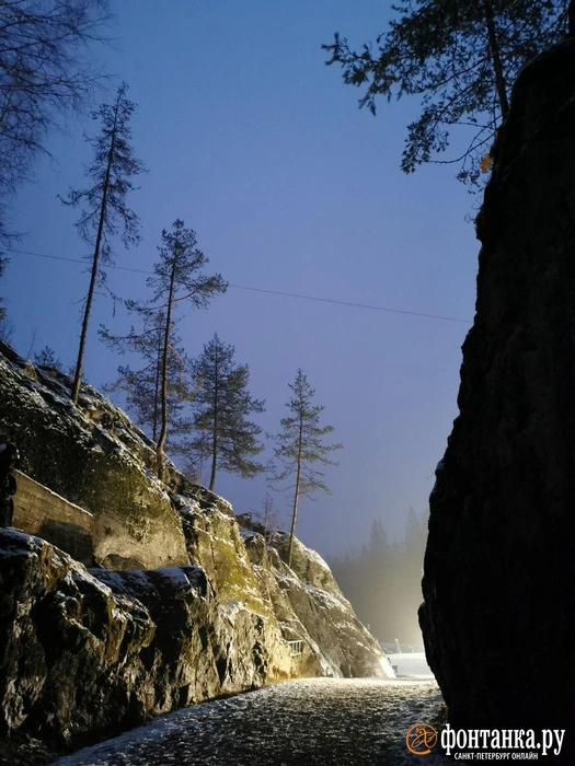 Источник: Ксения Потеева / «Фонтанка.ру»