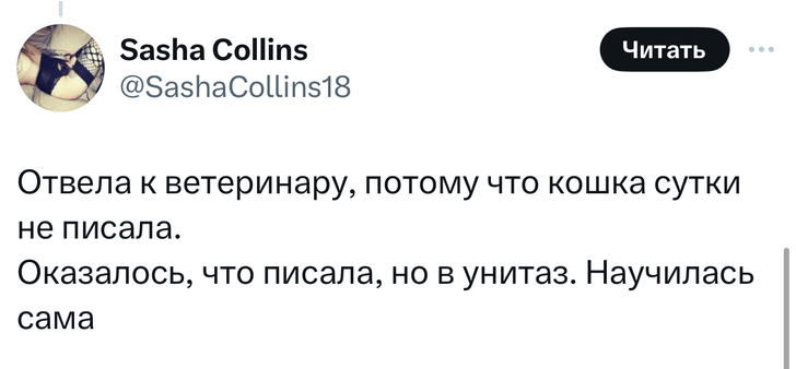 В «Твиттере» делятся тупыми причинами, по которым возили животных в ветеринарные клиники. И это уморительно!