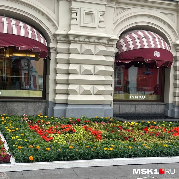 Источник: Валерия Милованова / MSK1.RU