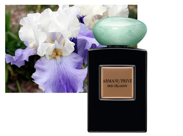 Любовь к ирисам: аромат Iris Celadon от Armani/Prive