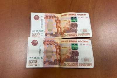 Полиция раскрыла кражу в спа-салоне Владикавказа