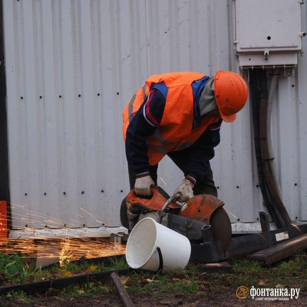 Источник: Сергей Николаев / FONTANKA.RU