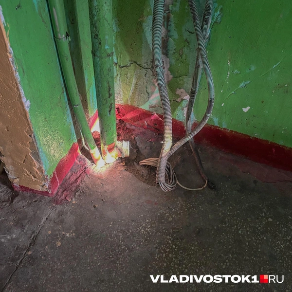 Источник: Елена Буйвол / VLADIVOSTOK1.RU